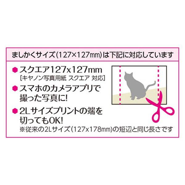 ハクバ フォトフレーム カレフィス127 ましかく（127×127mm）（ブラウン）　FSQCF-127BR | HAKUBA | 04