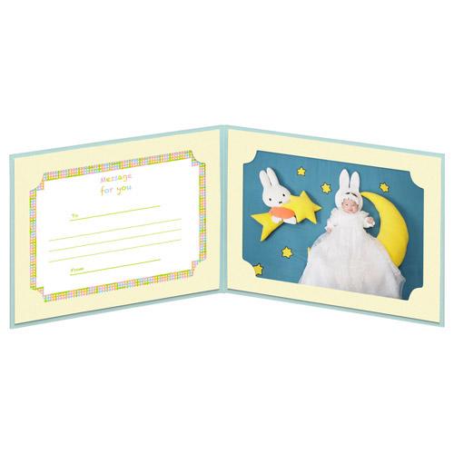 ハクバ ランス ドゥ L 横（ヨコ） ブルー （5枚セット） MRCDO-LY2BL5S [ヨコ /E・Lサイズ /2面] | HAKUBA | 03