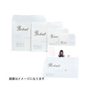 ハクバ 写真袋 大名刺 100入 | HAKUBA