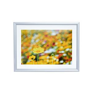 フジカラー アルミ額縁 A32 A4 シルバー | FUJIFILM