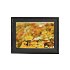 フジカラー アルミ額縁 A33 6切 ブラック 【864】 | FUJIFILM