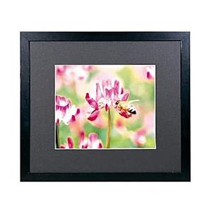 フジカラー WマットフレームM3000 半切 | FUJIFILM