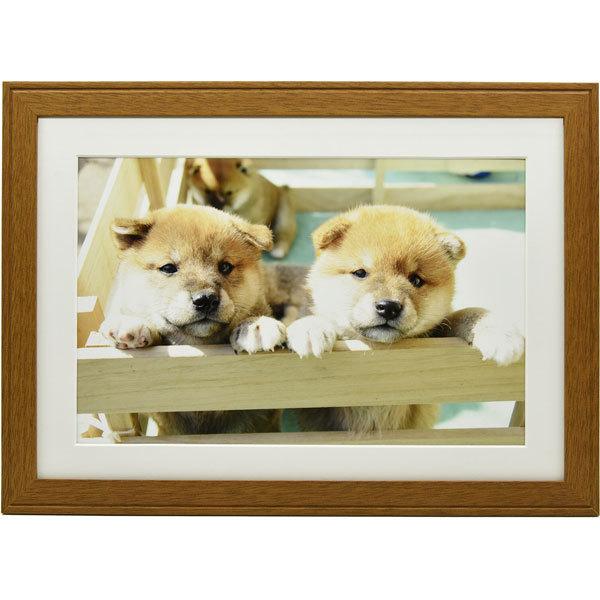 フジカラー 木製額縁_YM-9_4切_ブラウン ブラウン | FUJIFILM | 01