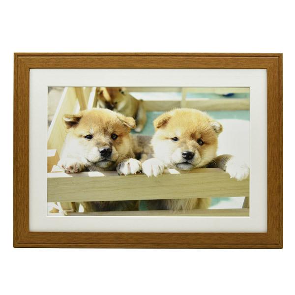 フジカラー 木製額縁_YM-9_ワイド4切_ブラウン ブラウン | FUJIFILM | 01