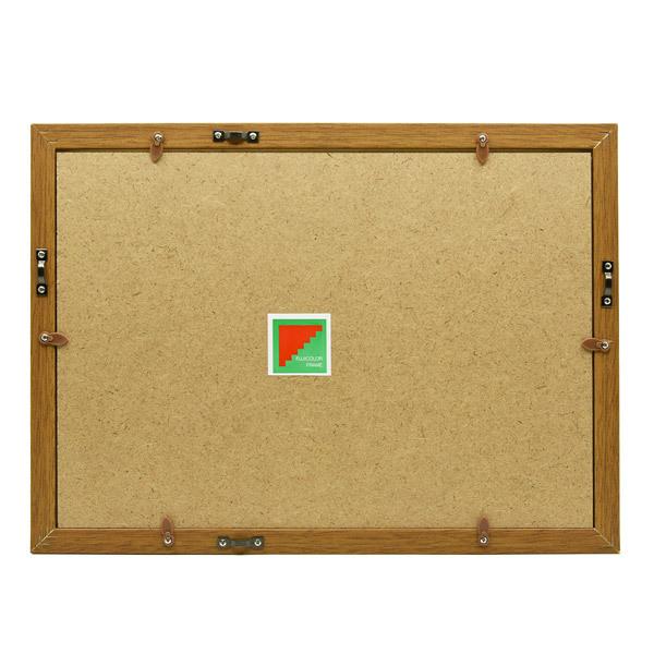 フジカラー 木製額縁_YM-9_全紙_ブラウン ブラウン | FUJIFILM | 02