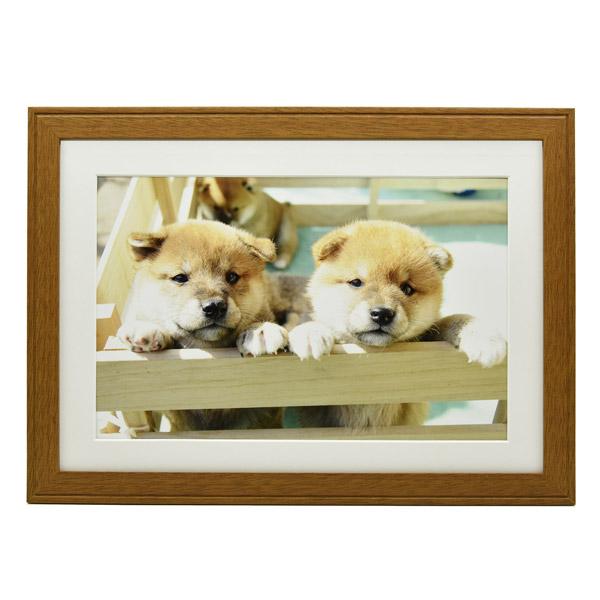 フジカラー 木製額縁_YM-9_A4_ブラウン ブラウン | FUJIFILM | 01