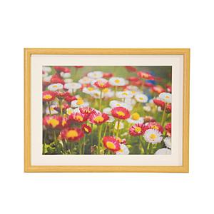 フジカラー 木製額縁_M20_A4_木地 | FUJIFILM