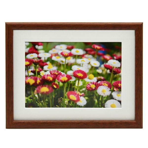 フジカラー 木製額縁_M21_全紙_ブラウン | FUJIFILM | 01