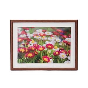 フジカラー 木製額縁_M21_A4_ブラウン | FUJIFILM