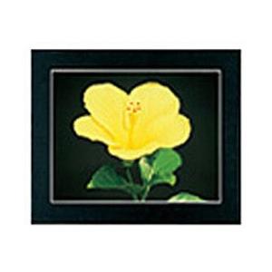 フジカラー マットパネルDX （全紙ノートリ［135］） ブラック | FUJIFILM