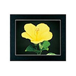 フジカラー マットパネルDX （全紙） ブラック | FUJIFILM