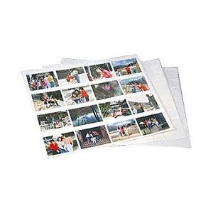 フジカラー 展示台紙 E・Lサイズ | FUJIFILM