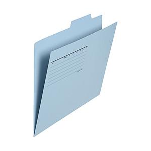 PLUS 個別フォルダーエコノミー 10P RBL  ロイヤルブルー FL-081IF | PLUS