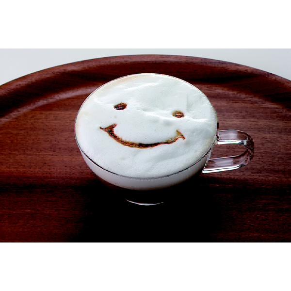 ハリオ クリーマー・キュート　CQT-45BR 【864】 [振込不可] | HARIO | 04