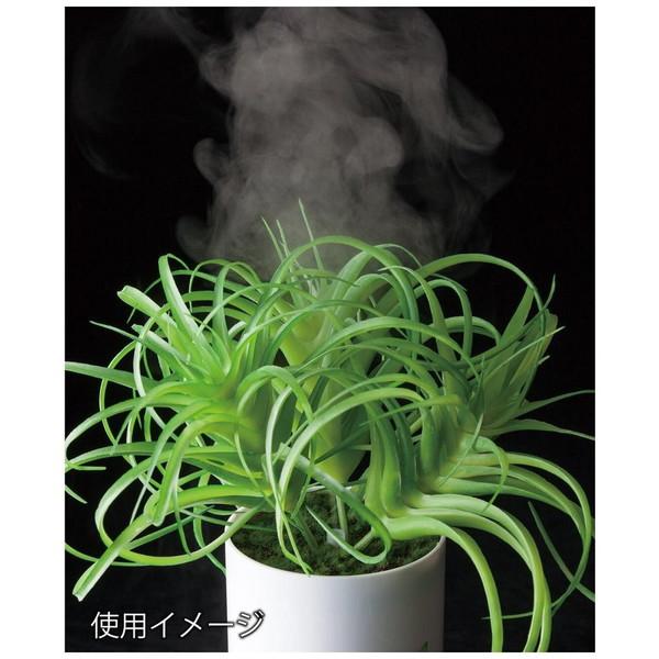 イシグロ 加湿器 グリーンディフューザー タイプA  70090 ［超音波式］ |  | 01