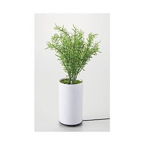 イシグロ 加湿器 グリーンディフューザー タイプB  70091 ［超音波式］ | 