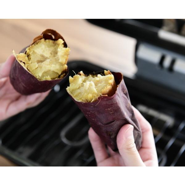 ヤマゼン 両面焼きマルチロースター | 山善 | 09