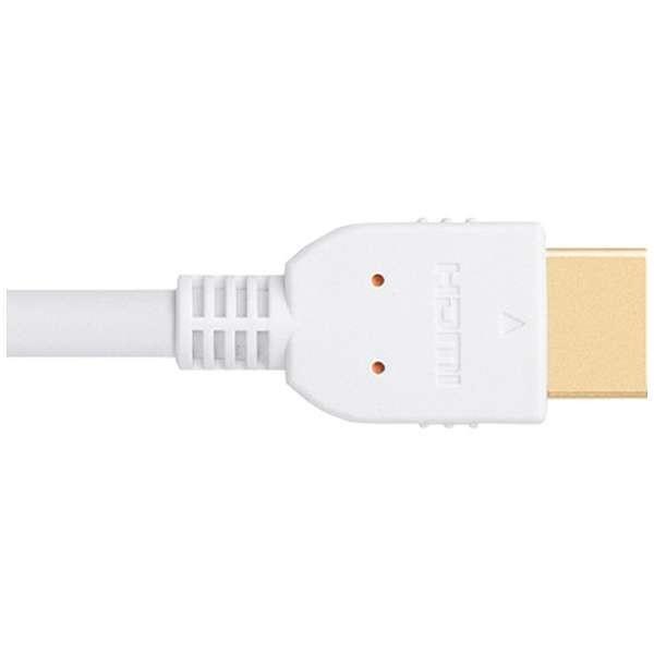 Panasonic(パナソニック) RP-CHE10-W HDMIケーブル ホワイト [1m /HDMI⇔HDMI] | Panasonic | 01