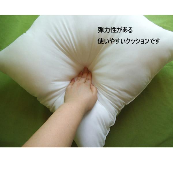 HACHIYA ヌードクッション (45×45cm) 1095 |  | 05