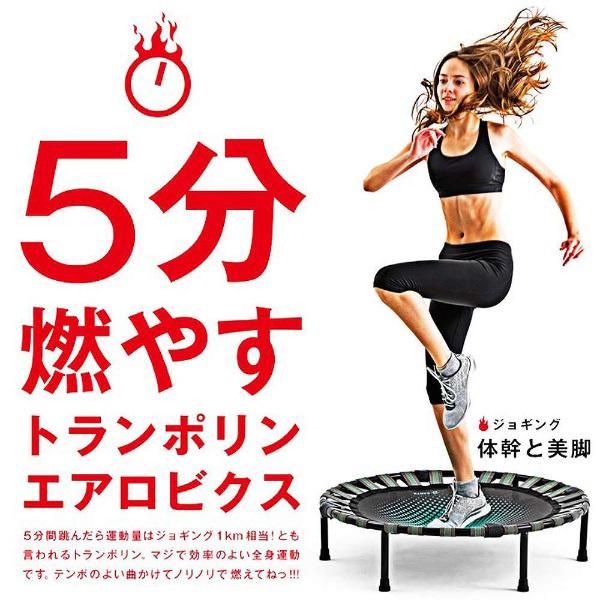 LaVie LAVIE 健康グッズ B-SANTE(ビ・サンテ) ダイエット