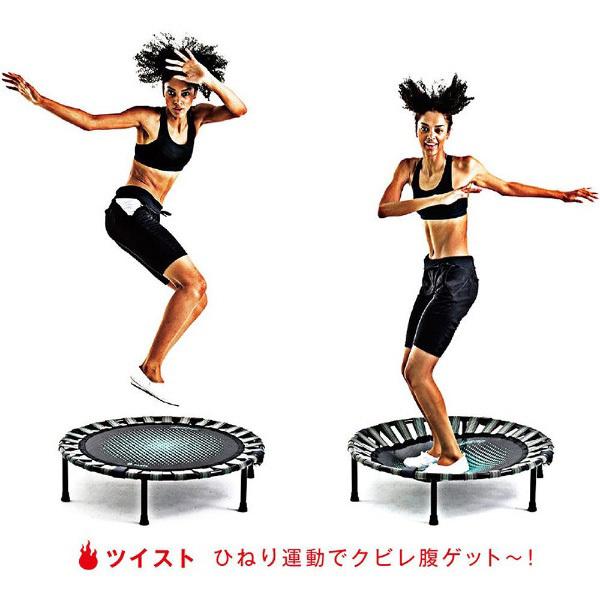 LAVIE 健康グッズ B-SANTE(ビ・サンテ)　ダイエットステップ 3B5100 [振込不可] | LaVie | 04