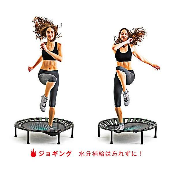 LAVIE 健康グッズ B-SANTE(ビ・サンテ)　ダイエットステップ 3B5100 [振込不可] | LaVie | 05