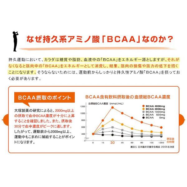 大塚製薬 アミノバリュー　サプリメントスタイル【グレープフルーツ風味/4.5g×10袋】 | 大塚製薬 | 03