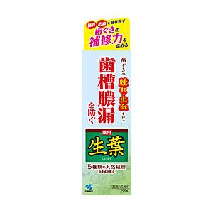 【在庫限り】 小林製薬 生葉（しょうよう）　(100g)【医薬部外品】〔歯磨き粉〕 | 小林製薬