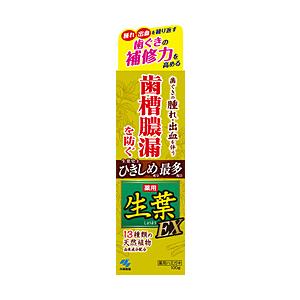 小林製薬 薬用 生葉EX 100g〔歯磨き粉〕 [振込不可] | 小林製薬