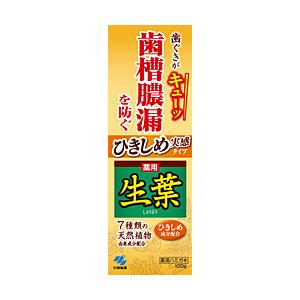 小林製薬 ひきしめ生葉（しょうよう） (100g)【医薬部外品】〔歯磨き粉〕 | 小林製薬