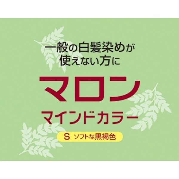 シュワルツコフヘンケル マロン マインドカラーS ソフトな黒褐色 [振込不可] |  | 02