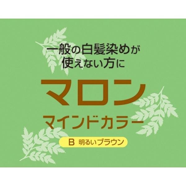 シュワルツコフヘンケル マロン マインドカラーB 明るいブラウン [振込不可] |  | 02
