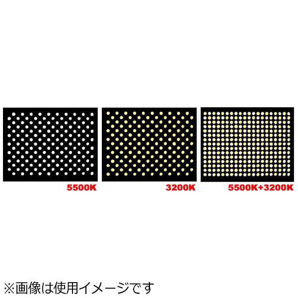 LPL L26995LEDライトプロ VLP-10000X 【864】 | LPL | 06