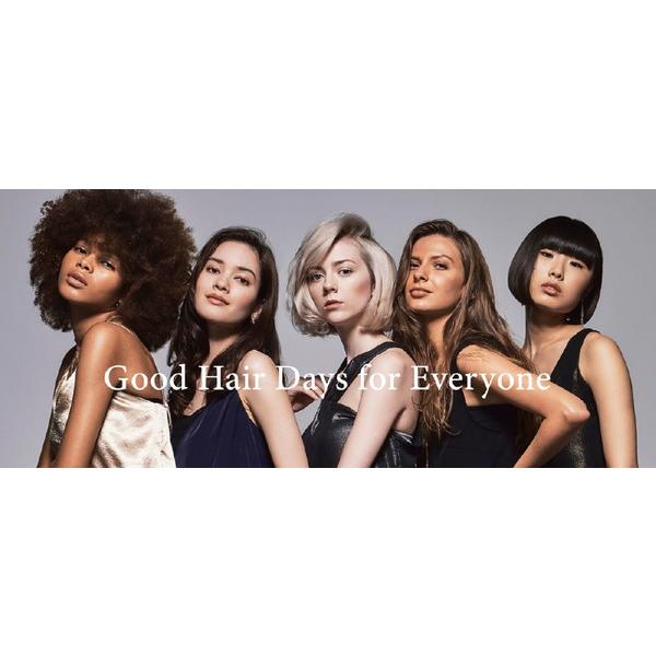 ホリスティックキュアーズ ドライヤーRp. ホリスティックキュア  CCIDG04 |  | 04