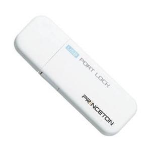 PRINCETON(プリンストン) USBポートロック　ライトブルー　PUS-PLSLB | PRINCETON