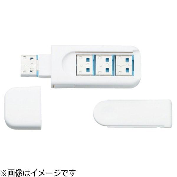PRINCETON(プリンストン) USBポートロック　ライトブルー　PUS-PLSLB | PRINCETON | 03