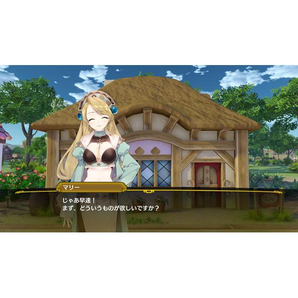 コーエーテクモゲームス ネルケと伝説の錬金術士たち 〜新たな大地のアトリエ〜 20周年記念ボックス 【PS4ゲームソフト】 | コーエーテクモゲームス | 08