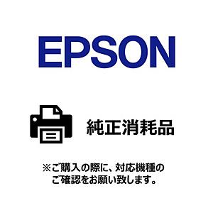 EPSON(エプソン) 〔ラベルプリンター用紙〕連続写真用紙 シールタイプ [600枚]   GP11LBL | エプソン