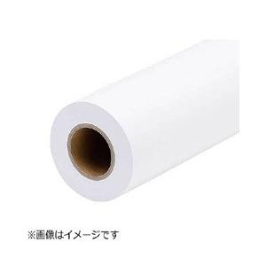 EPSON(エプソン) 普通紙ロール＜薄手＞（約728mm幅×50m 2本）　EPPP64B1 | エプソン