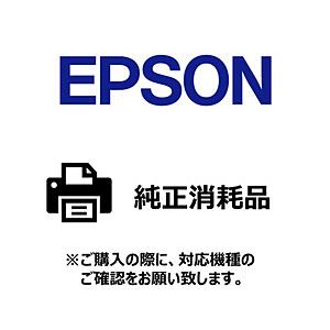 EPSON(エプソン) 〔ラベルプリンター用紙〕全面ラベルロール紙 光沢紙ラベル2 [100mmｘ30m /1巻]  ZG2K100 | エプソン