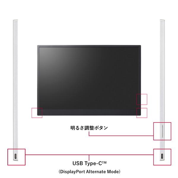 LGエレクトロニクス LG(エルジー) USB-C接続 PCモニター LG gram +view