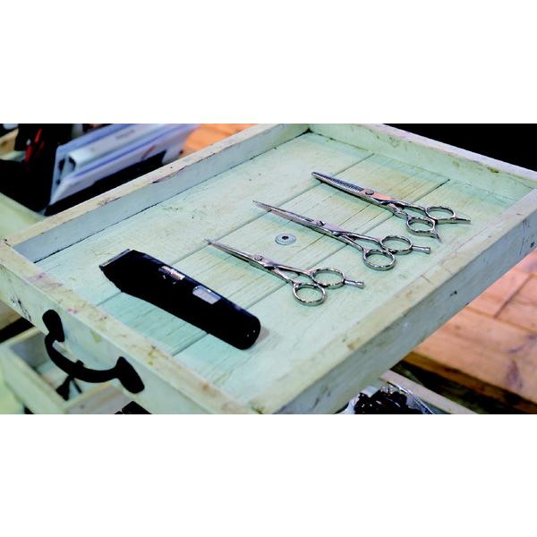 AIVIL AT-15G06 プロトリマー [交流充電式 /国内・海外対応] |  | 12