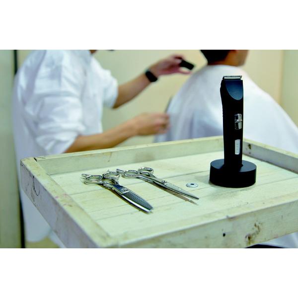 AIVIL AT-15G06 プロトリマー [交流充電式 /国内・海外対応] |  | 14