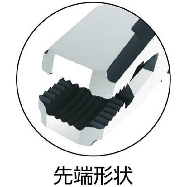 エンジニア エンジニア ネジザウルスRX　PZ59 |  | 01