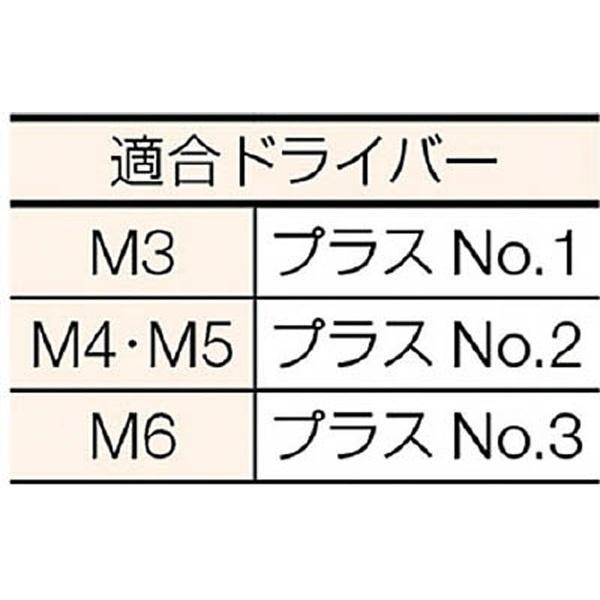 トラスコ中山 トラス頭小ネジ　ステンレス　サイズM5×20　55本入　B520520 | TRUSCO中山 | 02