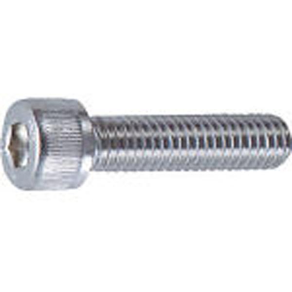 トラスコ中山 六角穴付ボルト　ステンレス全ネジ　サイズM6×12　35本入　B440612 | TRUSCO中山 | 01