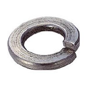 トラスコ中山 スプリングワッシャー　ステンレス　サイズM3　610個入　B290003 | TRUSCO中山