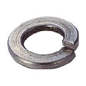 トラスコ中山 スプリングワッシャー　ステンレス　サイズM10　55個入　B290010 | TRUSCO中山