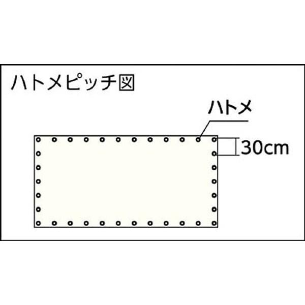 トラスコ中山 ライトクリアメッシュシート　幅3．6m×長さ5．4m　クリア　LCM3654TM | TRUSCO中山 | 02