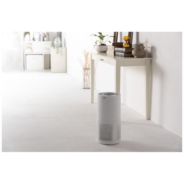 サンカ 除菌空気清浄機  ホワイト SAP-4100WH ［適用畳数：17畳 /PM2.5対応］ |  | 06